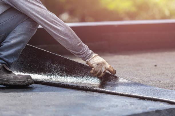 Professional Interior Drainage System technician working in Oak Park, IL